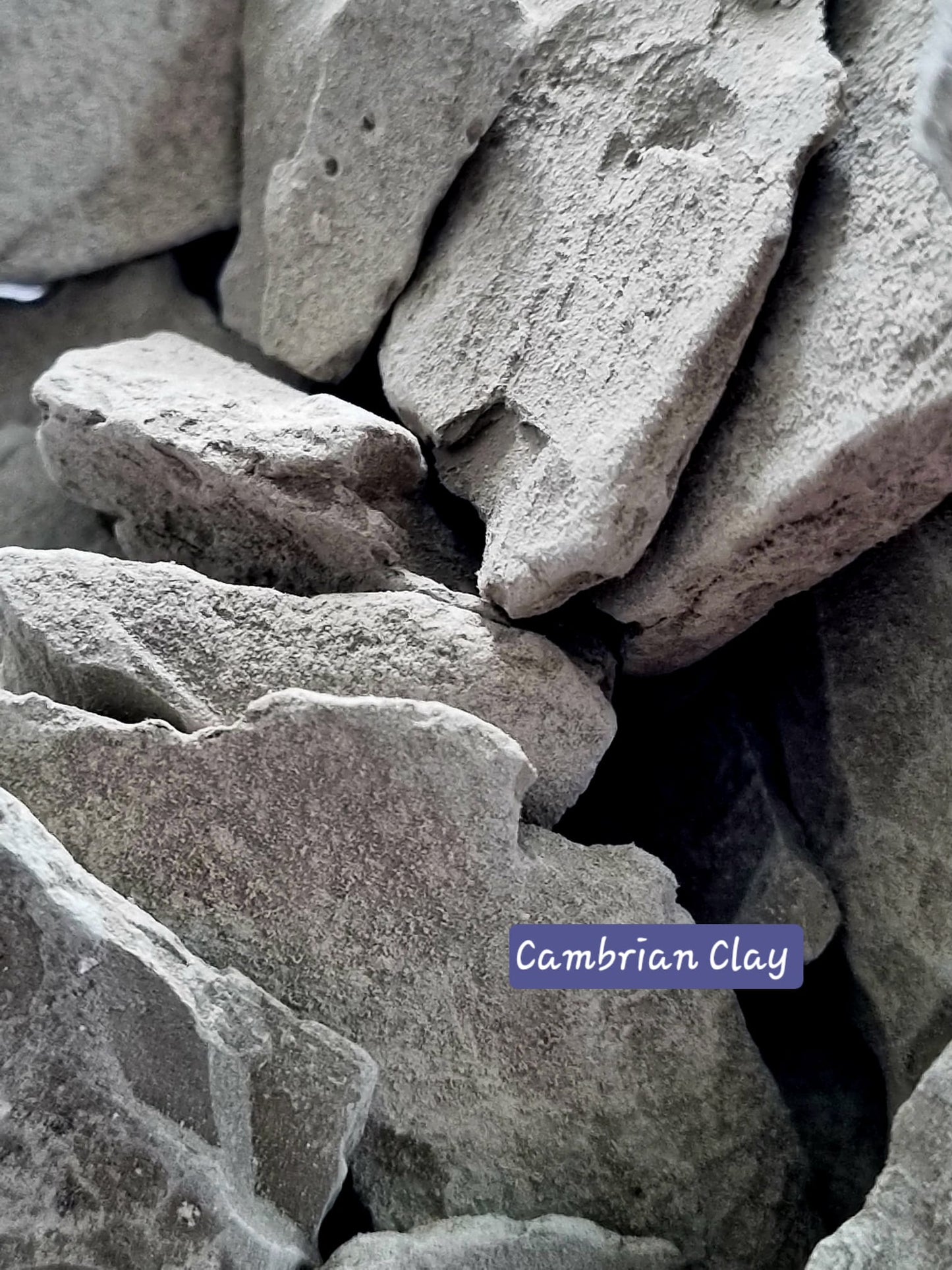 Edible Clay Natural Cambrian Clay