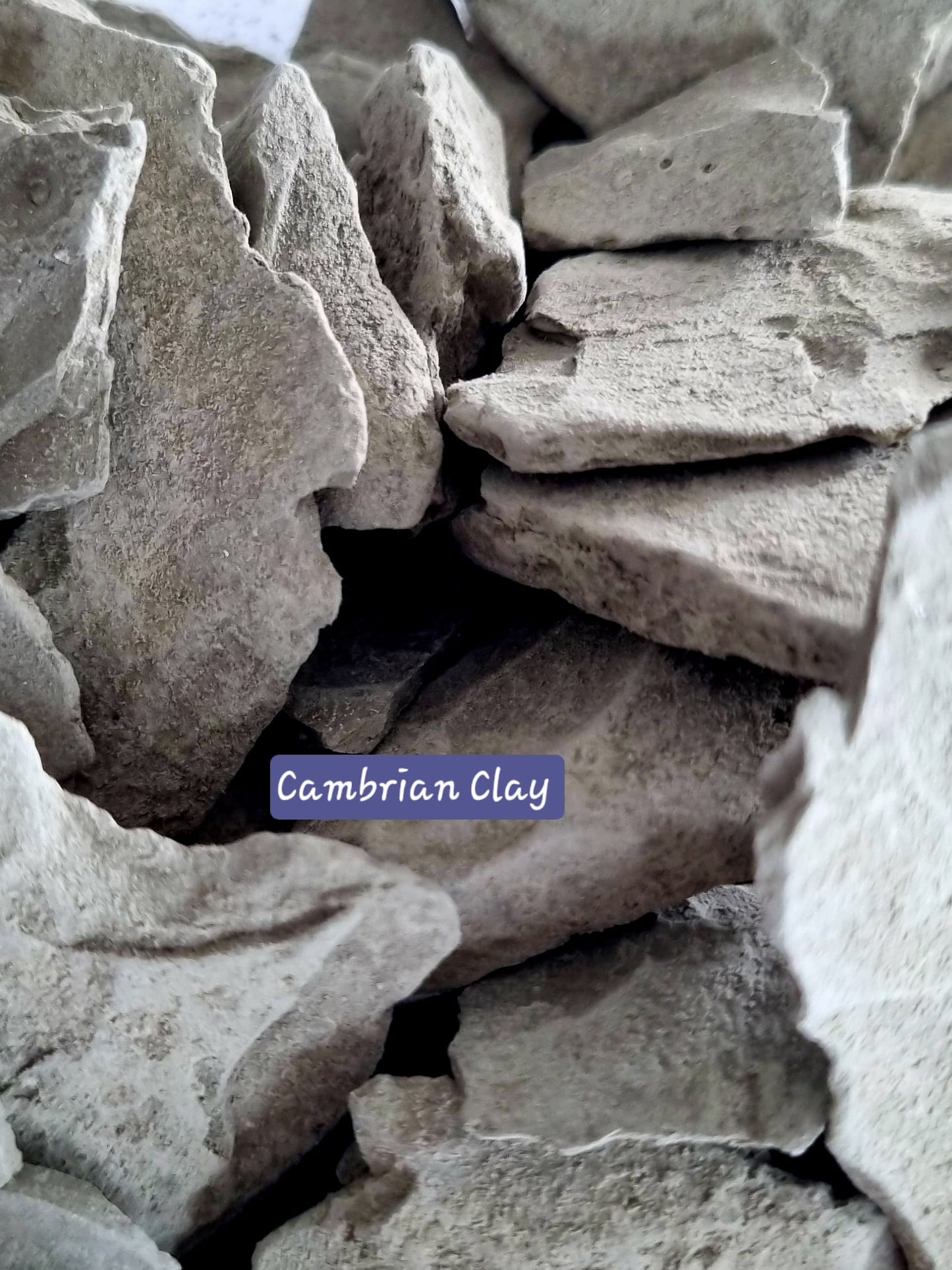 Edible Clay Natural Cambrian Clay