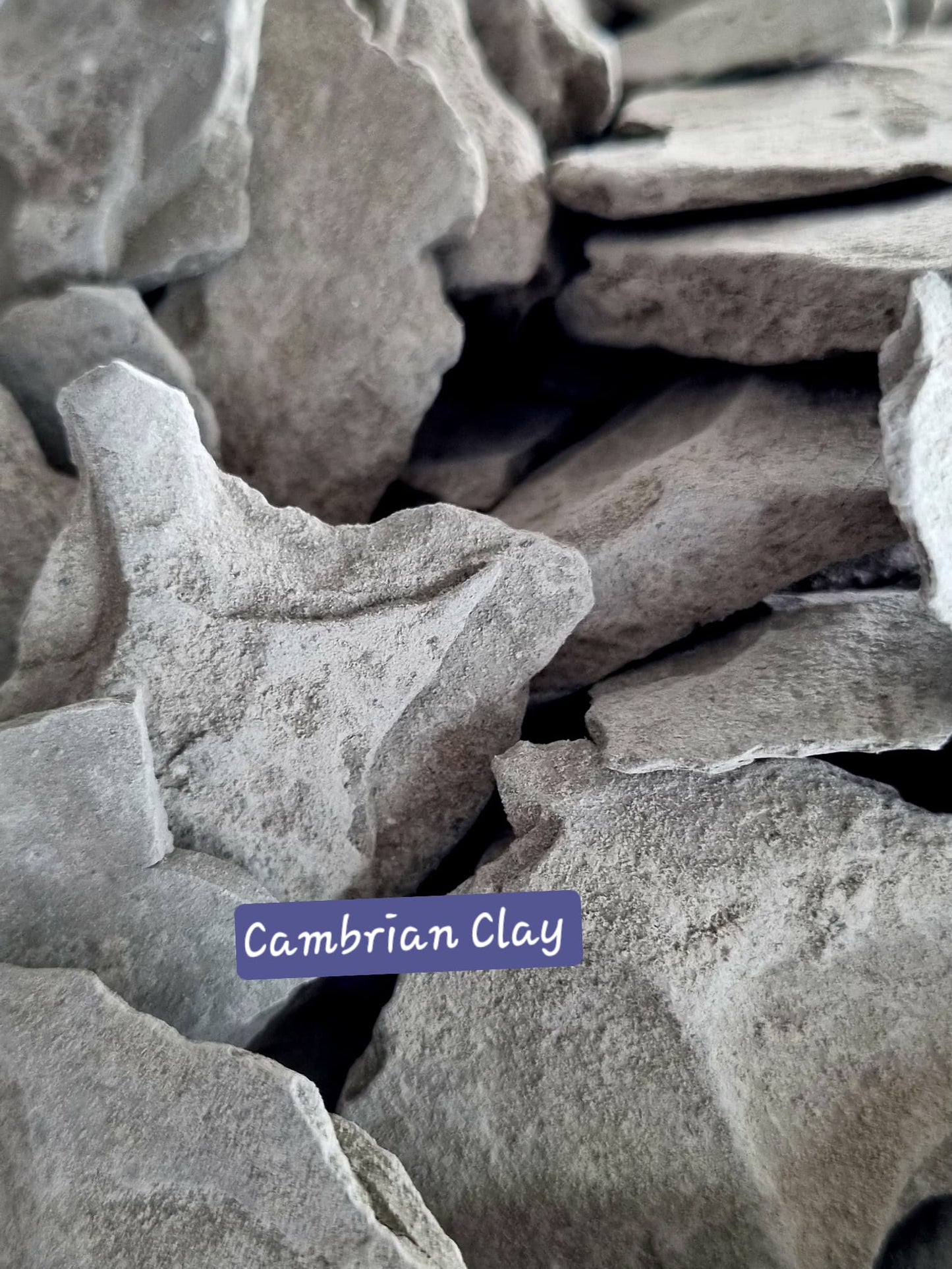 Edible Clay Natural Cambrian Clay