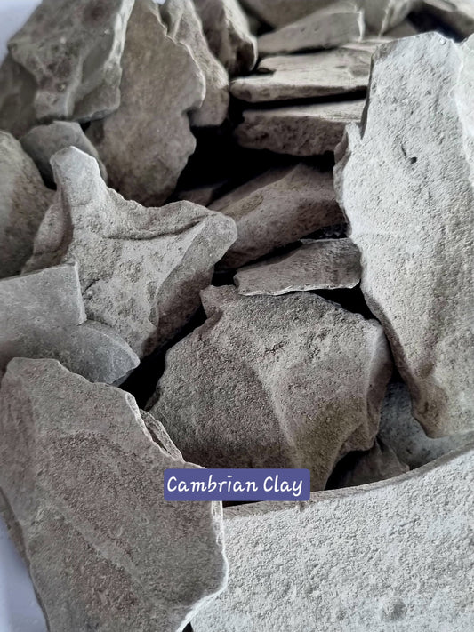 Edible Clay Natural Cambrian Clay