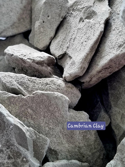 Edible Clay Natural Cambrian Clay