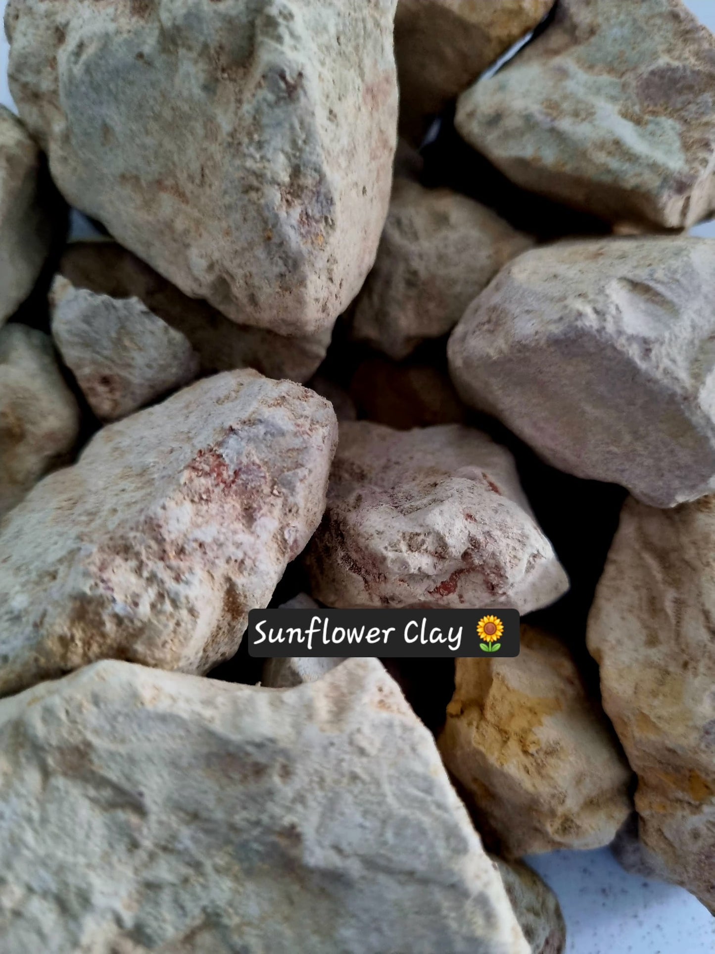 Edible Sunflower Clay from Indian