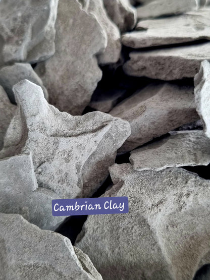 Edible Clay Natural Cambrian Clay